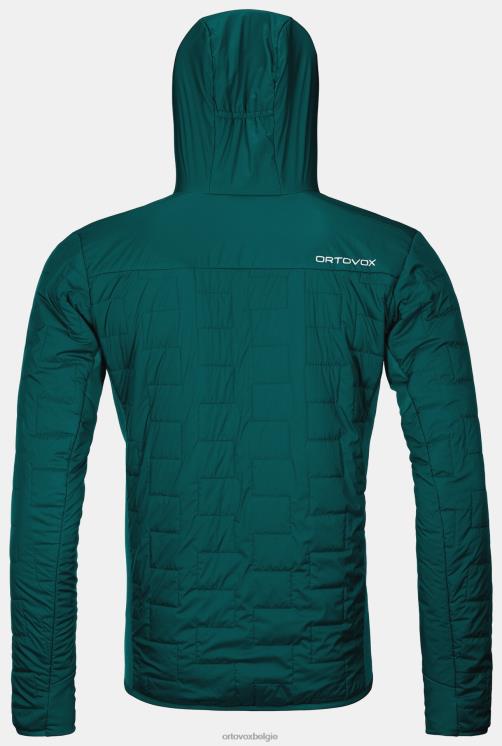Heren Pacifisch groen Zwitsers wollen piz badus jasje ORTOVOX kleding LX0XF232